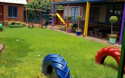 Choosing a Private School Instead of a Public School for Your Child’s Primary School Journey